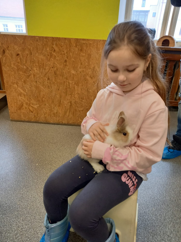 WhatsApp Image 2026-02-07 at 12.58.49 (1).jpeg