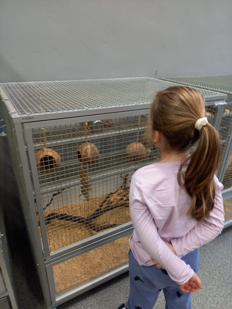 WhatsApp Image 2026-02-07 at 12.58.49 (6).jpeg