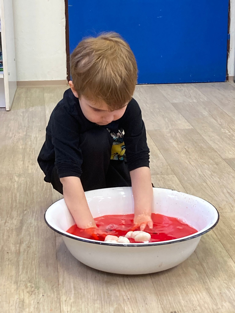 WhatsApp Image 2026-02-07 at 13.28.19.jpeg