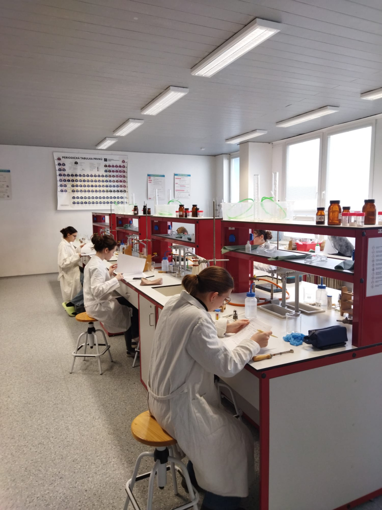 WhatsApp Image 2026-03-03 at 14.36.18.jpeg