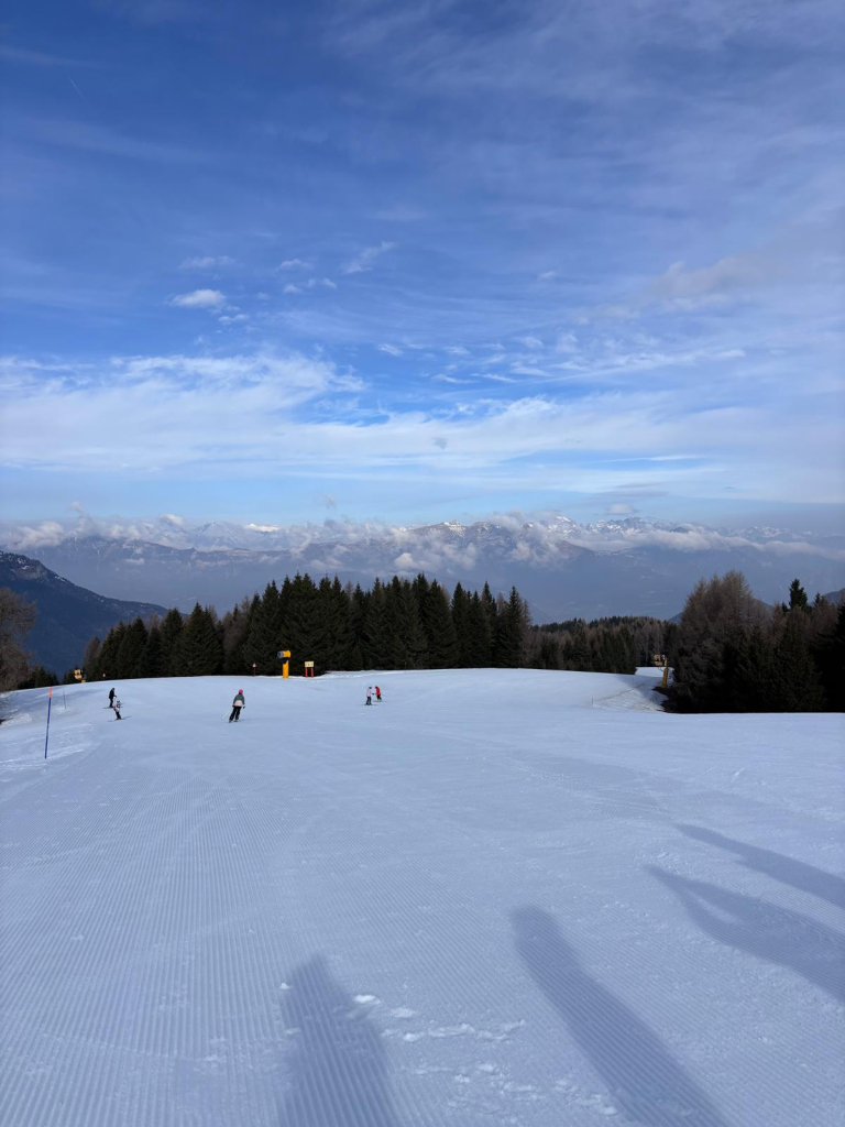 WhatsApp Image 2026-03-12 at 16.51.50.jpeg