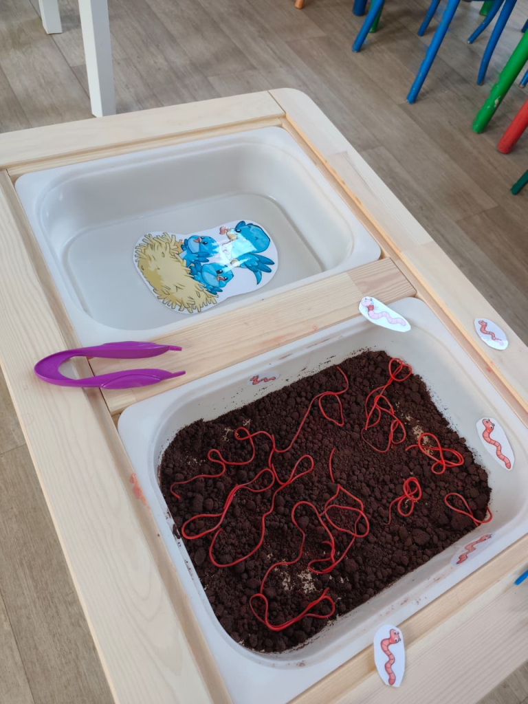 WhatsApp Image 2026-03-07 at 08.18.57.jpeg