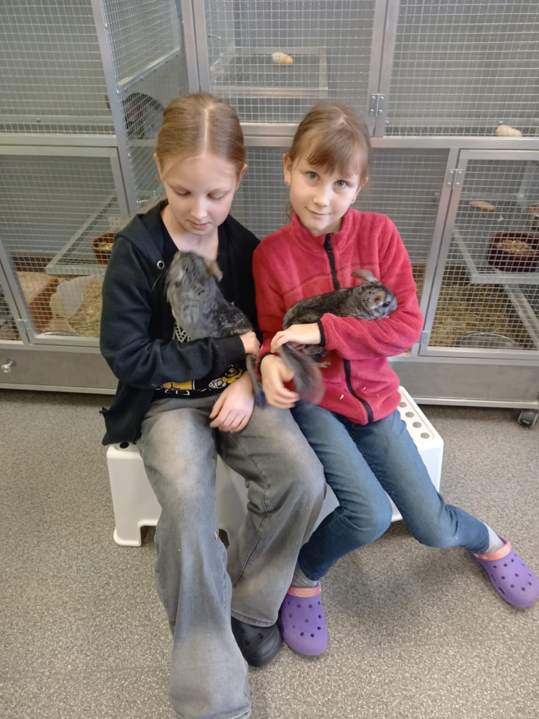 WhatsApp Image 2026-03-07 at 17.35.36 (1).jpeg