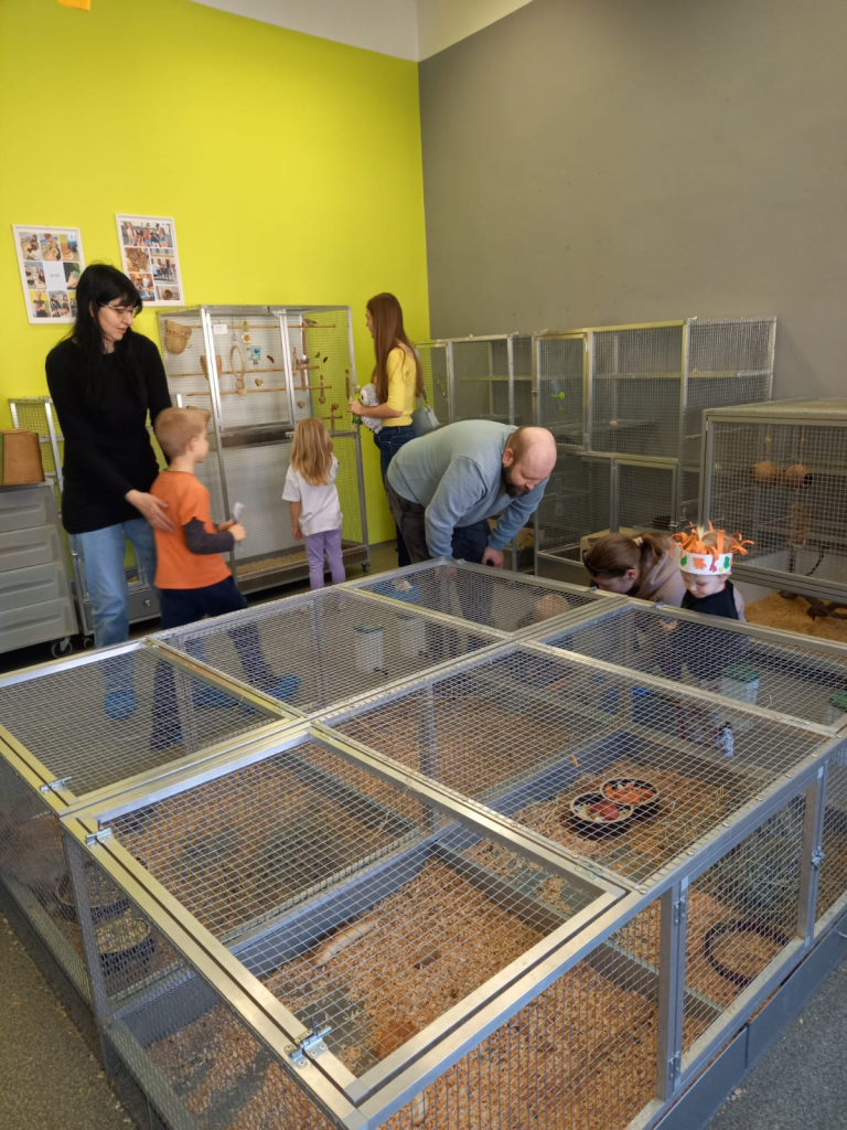 WhatsApp Image 2026-03-07 at 17.35.36 (3).jpeg