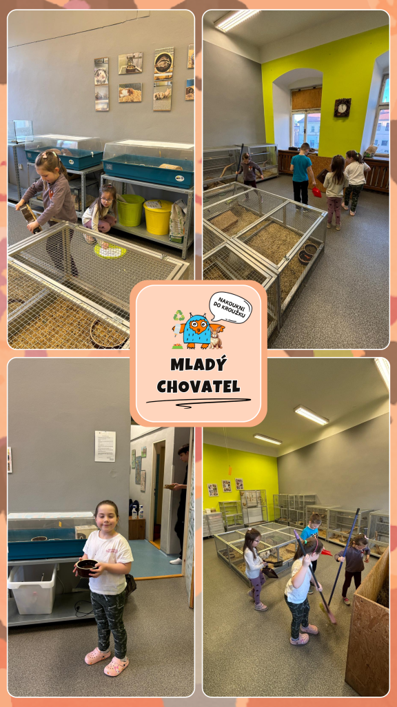 INSTAGRAM - story_Mladý chovatel.png