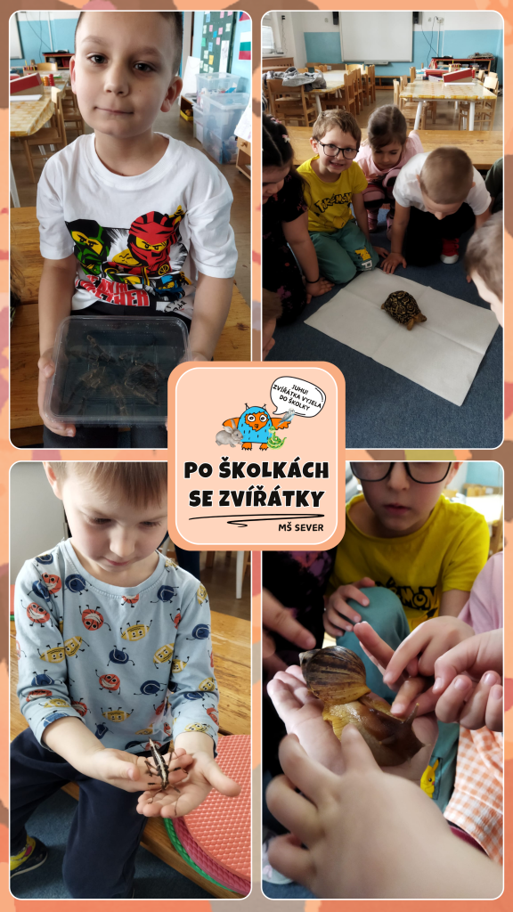 INSTAGRAM - Nakoukni do kroužku_mš.png