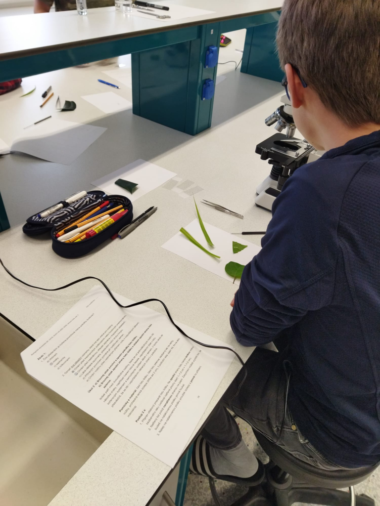 WhatsApp Image 2026-03-31 at 12.37.49 (1).jpeg