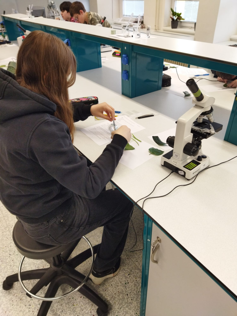 WhatsApp Image 2026-03-31 at 12.37.50 (2).jpeg