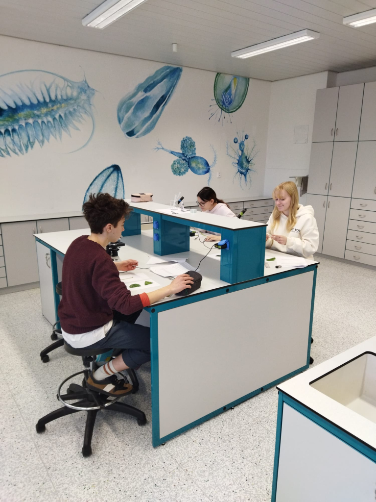 WhatsApp Image 2026-03-31 at 12.37.50 (1).jpeg