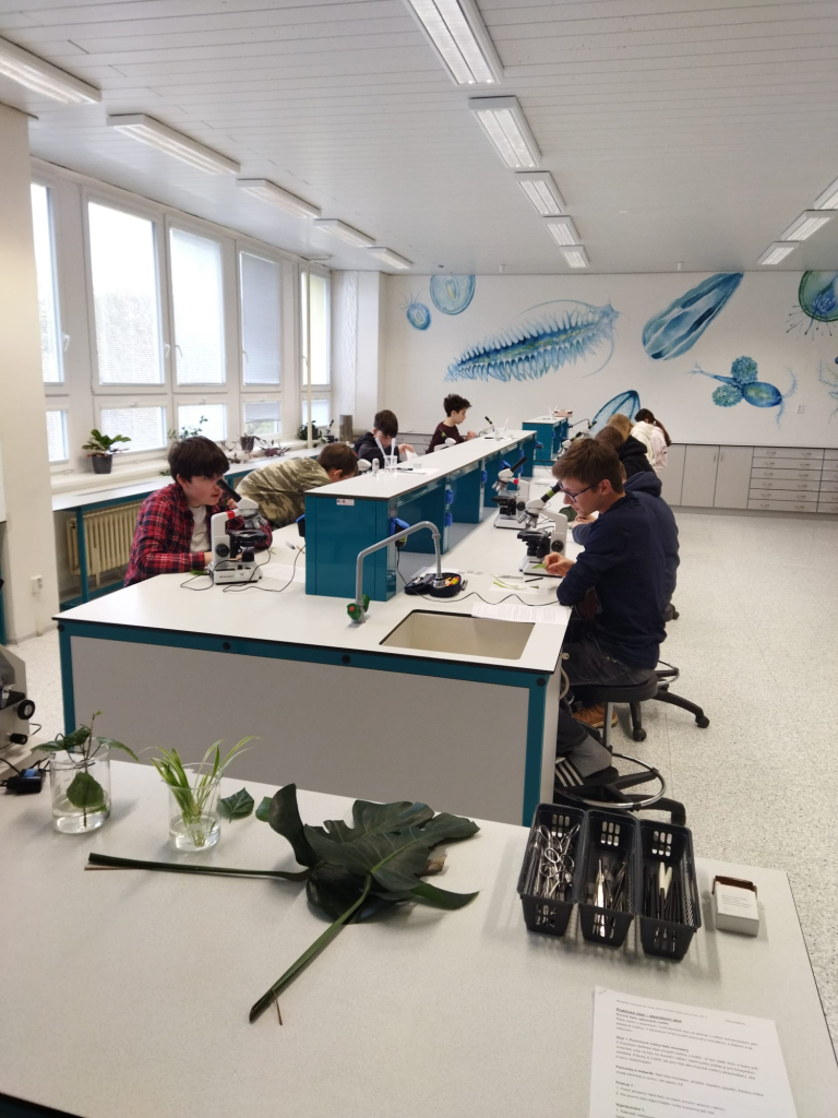 WhatsApp Image 2026-03-31 at 12.37.50 (3).jpeg