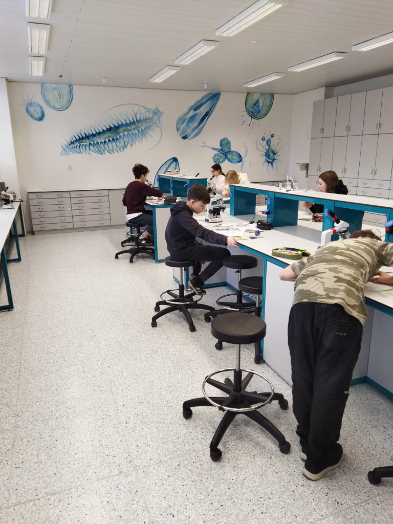 WhatsApp Image 2026-03-31 at 12.37.50.jpeg