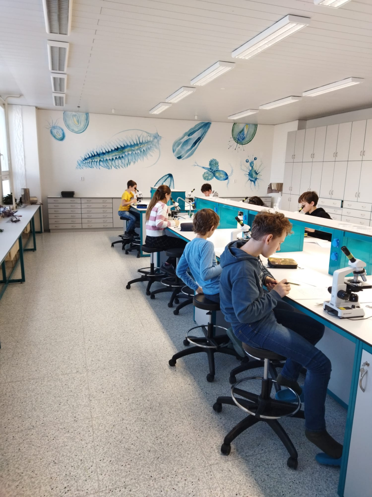 WhatsApp Image 2026-04-09 at 12.25.01 (2).jpeg