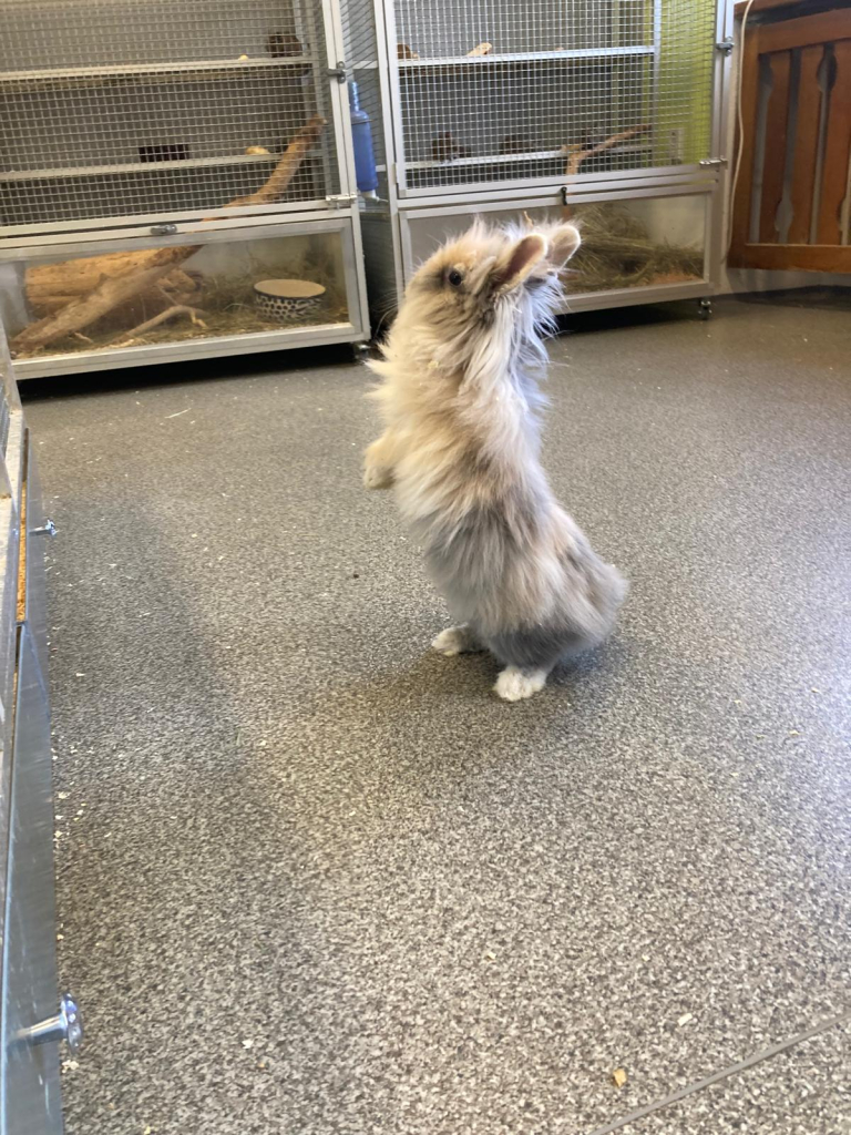 WhatsApp Image 2026-04-15 at 12.16.17 (2).jpeg