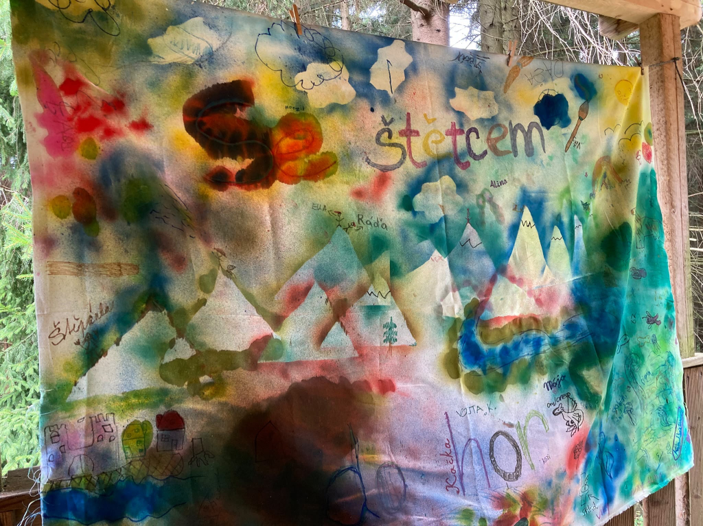 62a11788-e508-477a-ad3f-ba0bbb6cf41a.jpeg