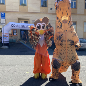 IMG_7330.jpeg