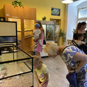 IMG_7342.jpeg