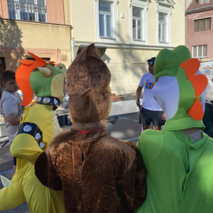 IMG_7362.jpeg