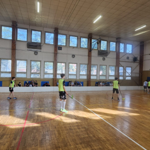 Obrázek WhatsApp, 2025-04-12 v 12.28.58_f926d486.jpg