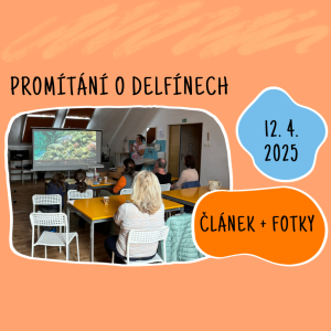 Promítání a sdílení poselství delfínů s Vlastou Bičišťovou