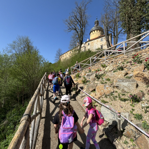 IMG_7767.JPG