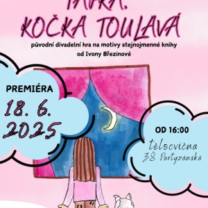 Ťapka, kočka toulavá