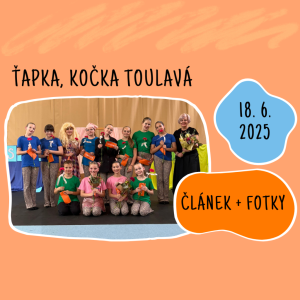 Ťapka, kočka toulavá