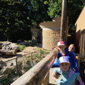 IMG_6890.jpeg