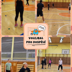 Volejbal pro dospělé