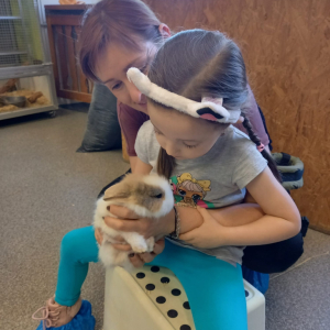 Otevřená sobota LISTOPAD