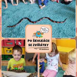 Po školách se zvířátky