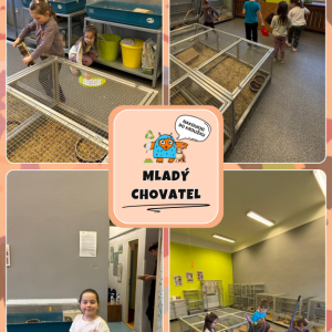 Mladý Chovatel