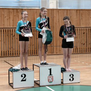 Krajské závody ve sportovní gymnastice
