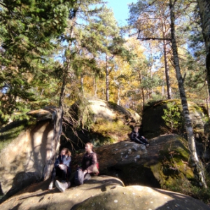 IMG_20211028_140240.jpg