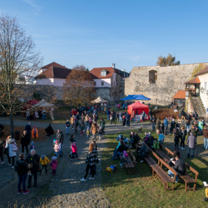 CEV_1347.jpg