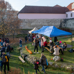 CEV_1458.jpg