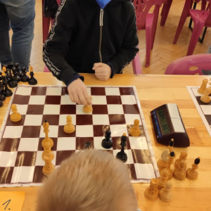 261087618_274129038065289_3111386545041103928_n.jpg