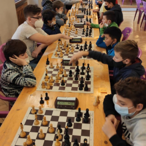 261817373_430061371935784_3428106880215592995_n.jpg