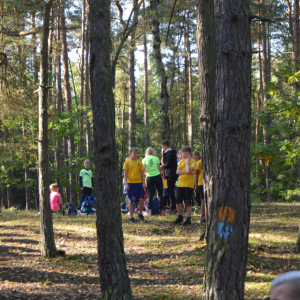 DSC_0227.jpg